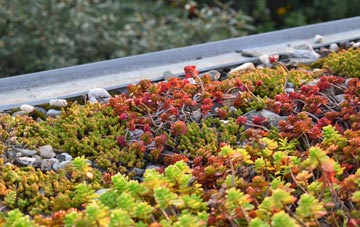the cost of Gill green roof installation
