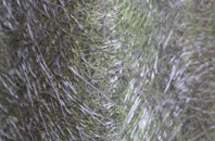 Gill fibreglass roof work